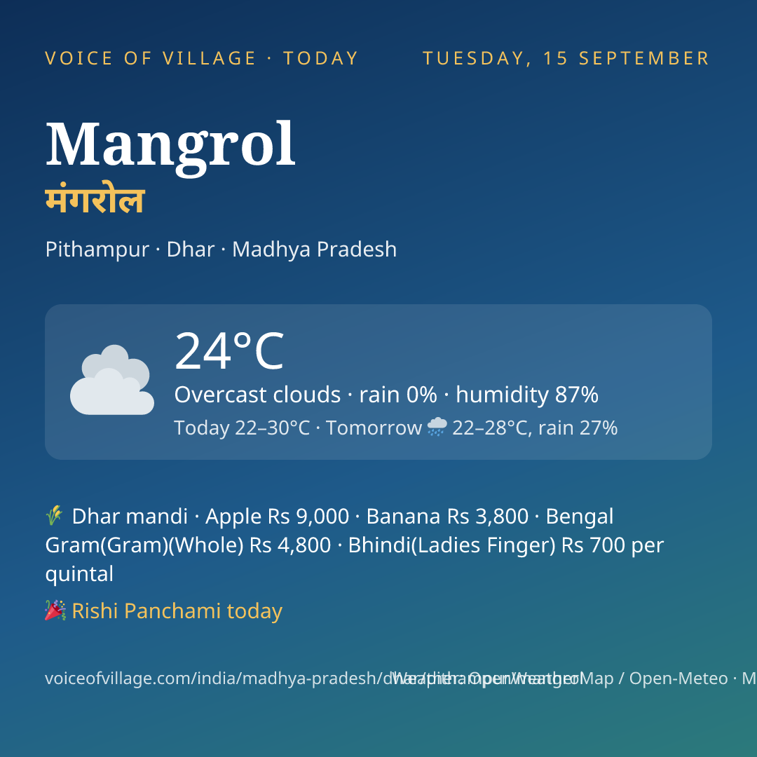 Mangrol today