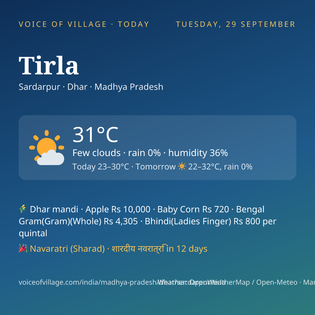 Tirla today