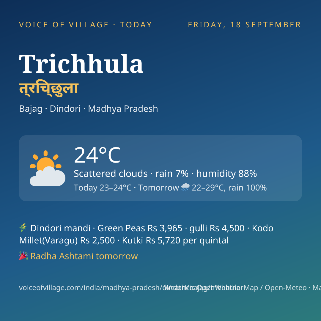 Trichhula today