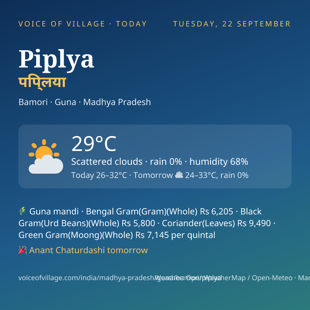 Piplya today
