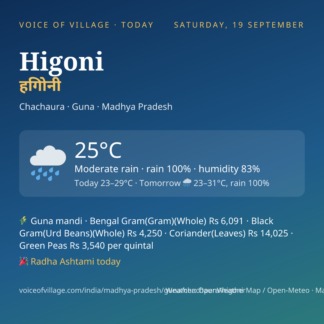 Higoni today