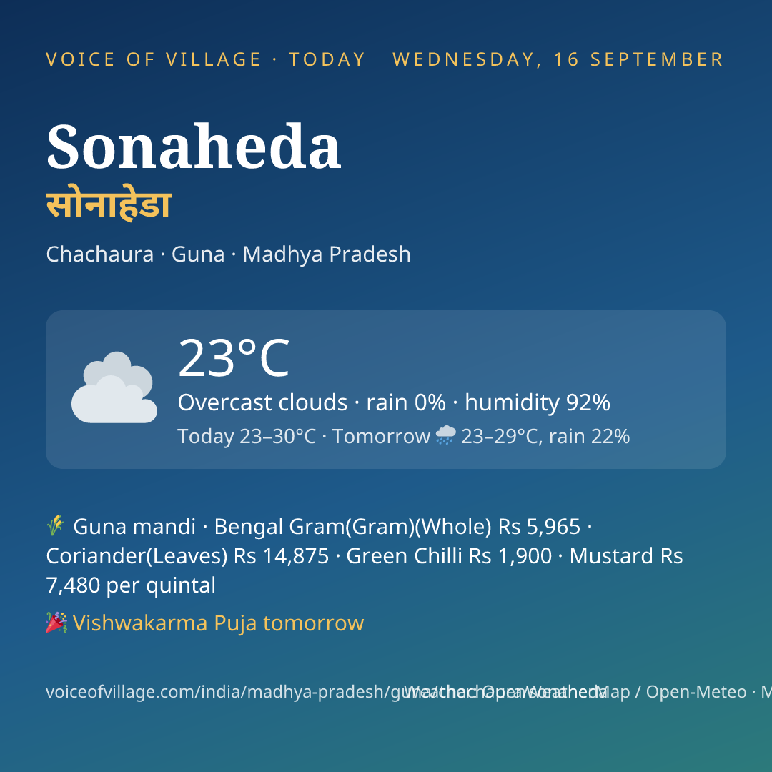 Sonaheda today