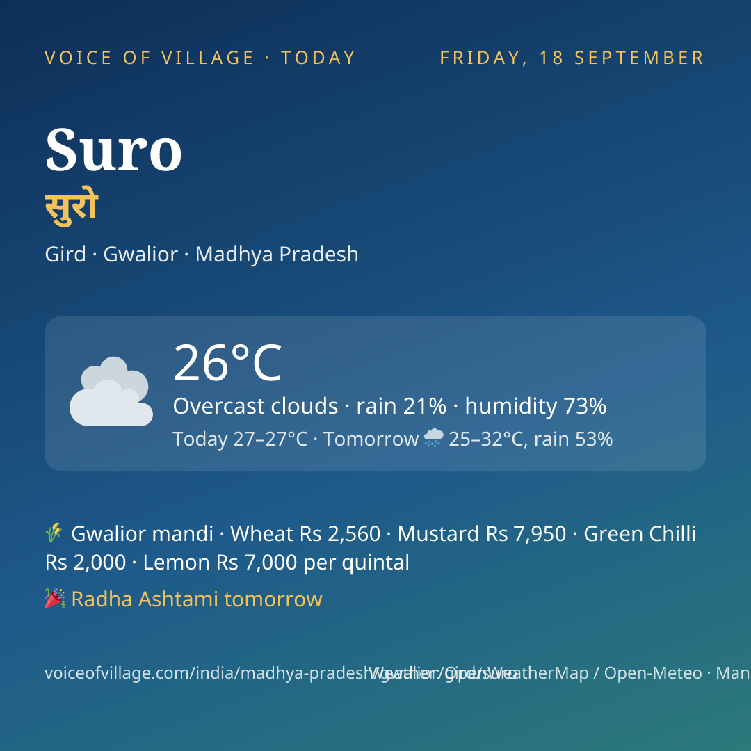 Suro today