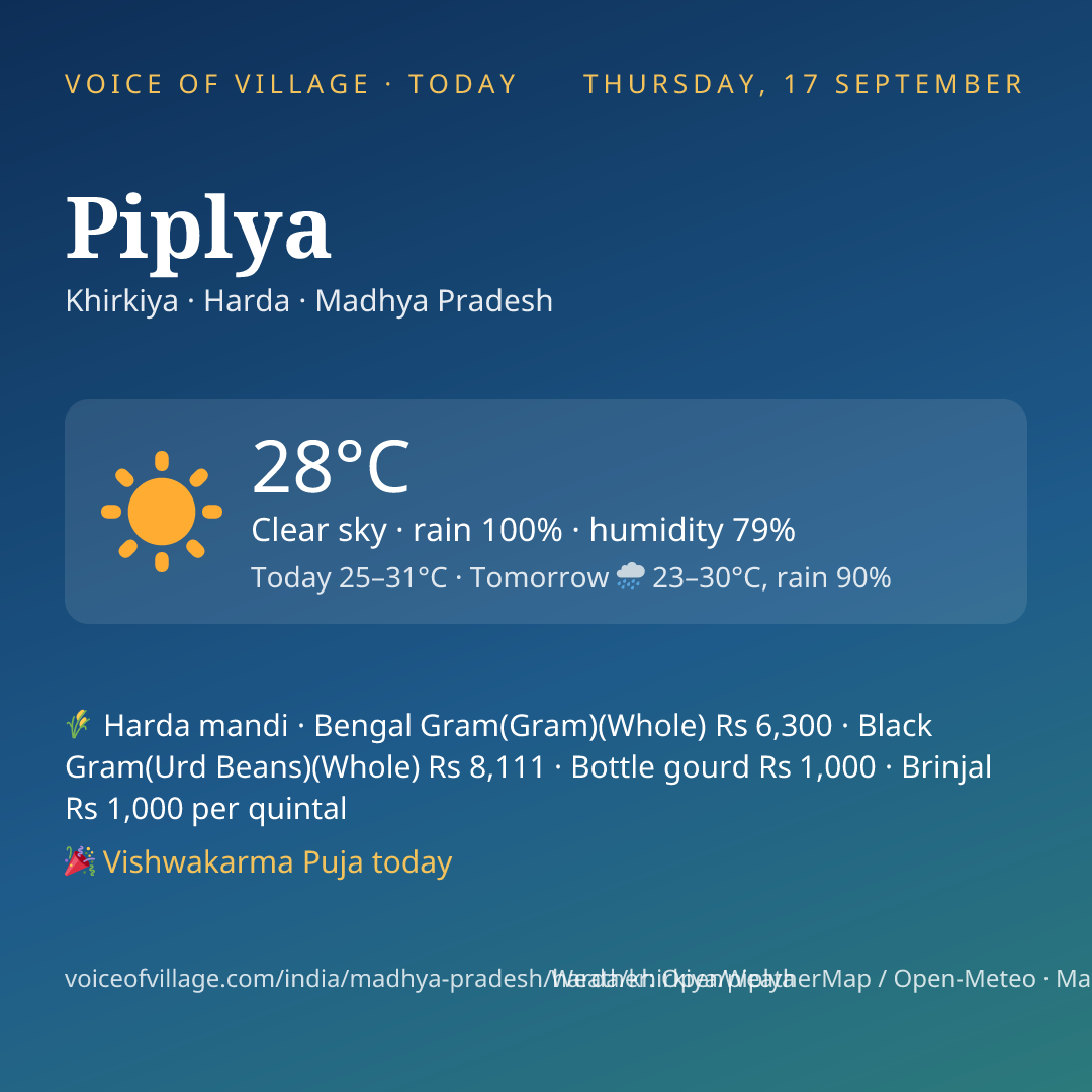 Piplya today