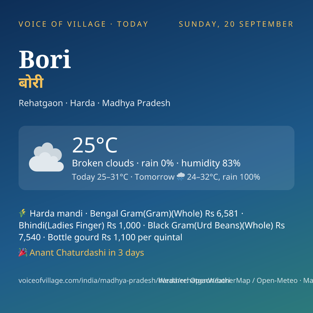 Bori today