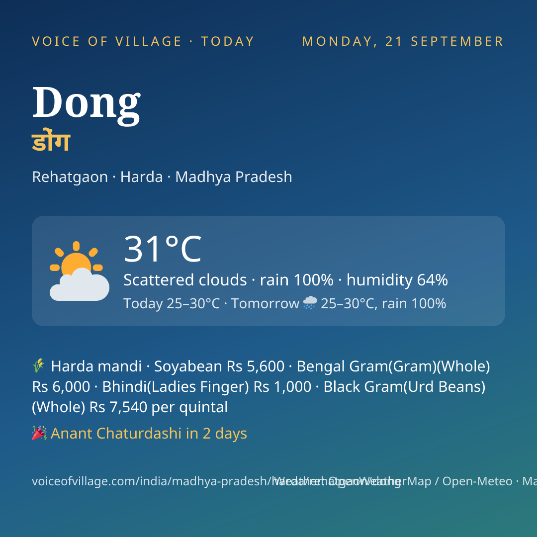Dong today