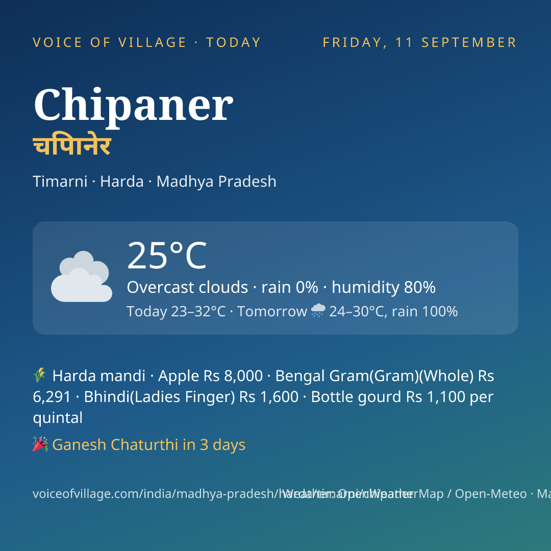 Chipaner today