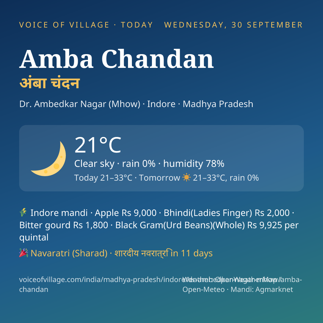 Amba Chandan today