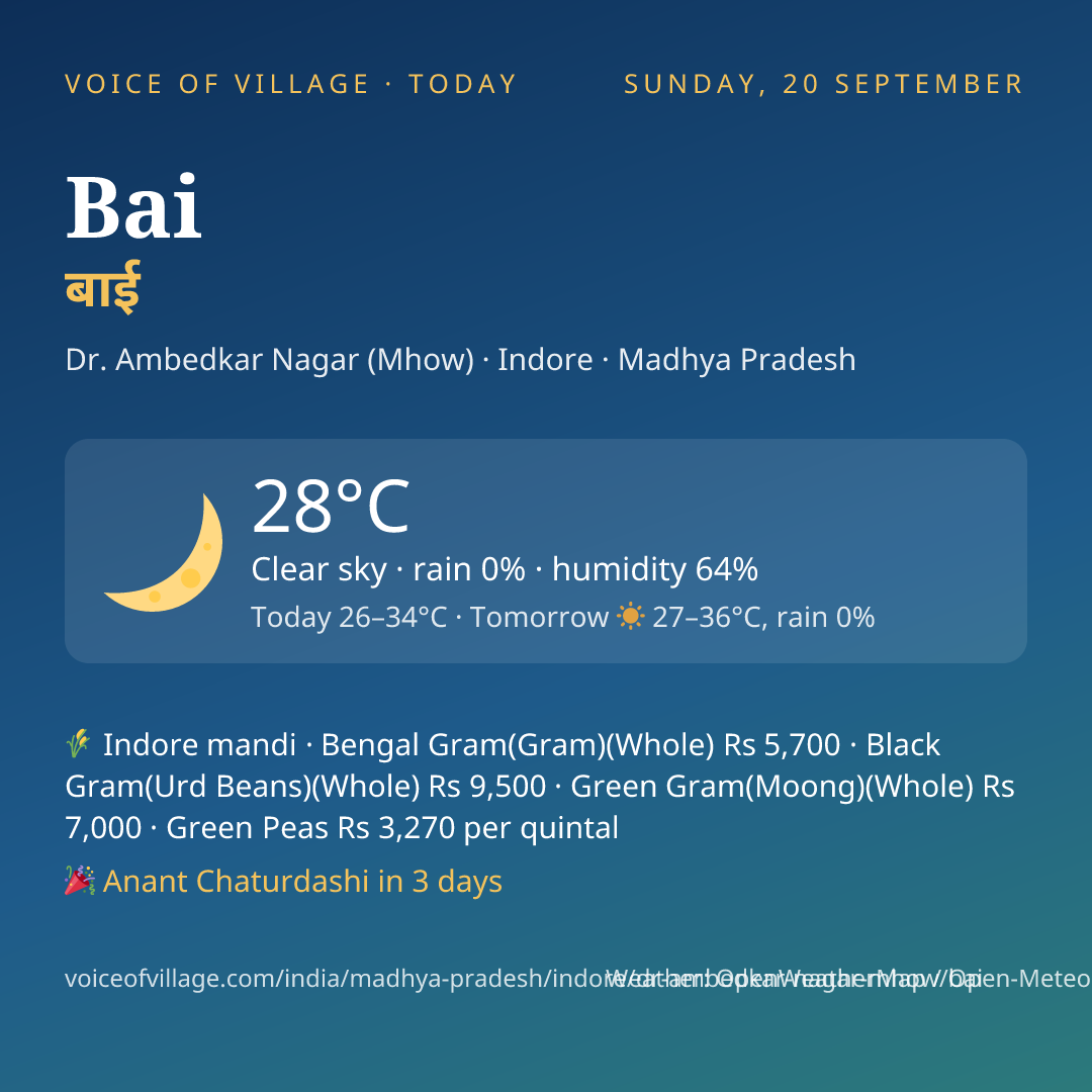 Bai today