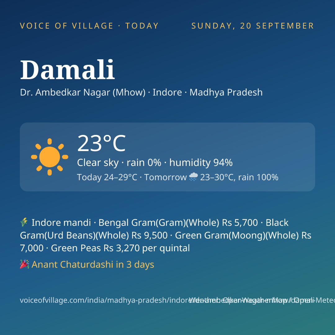 Damali today