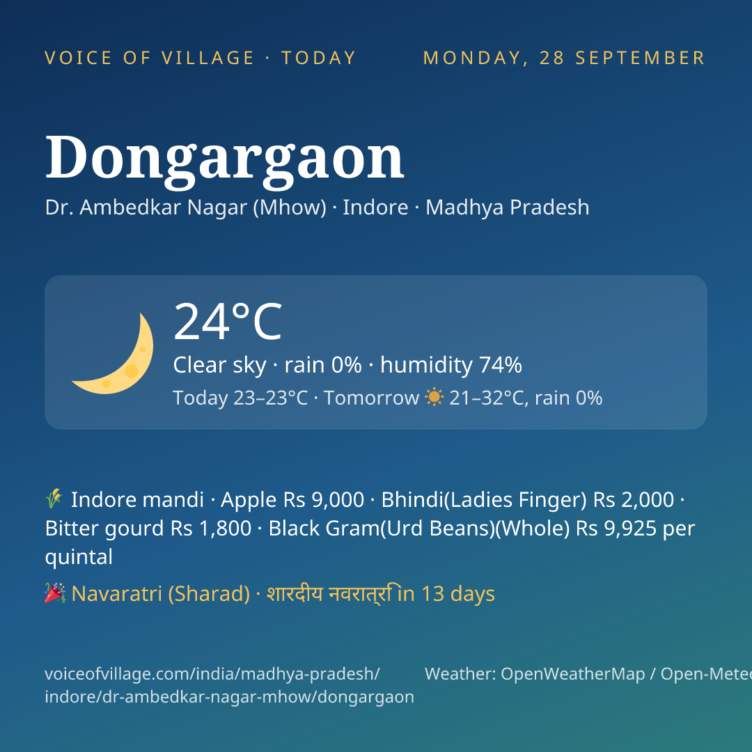 Dongargaon today
