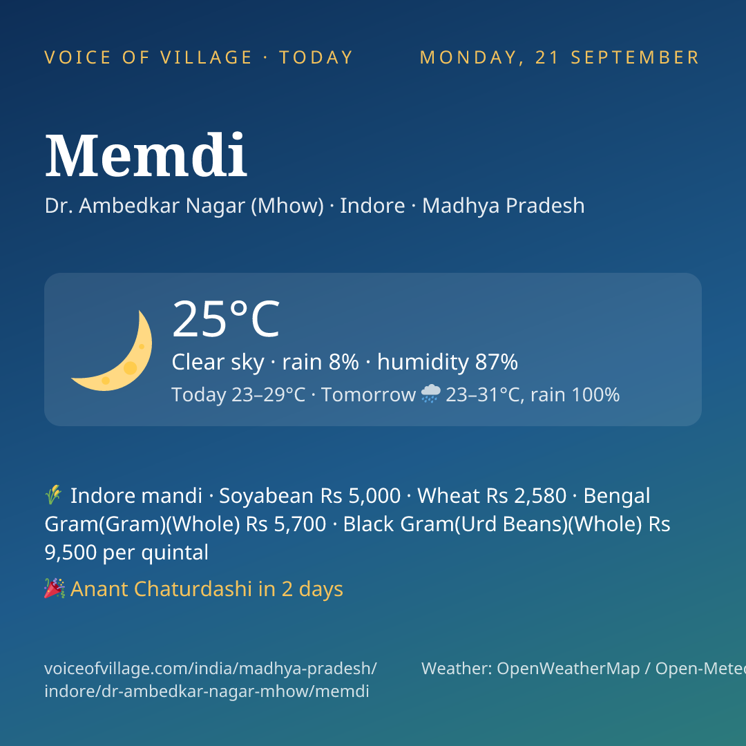 Memdi today