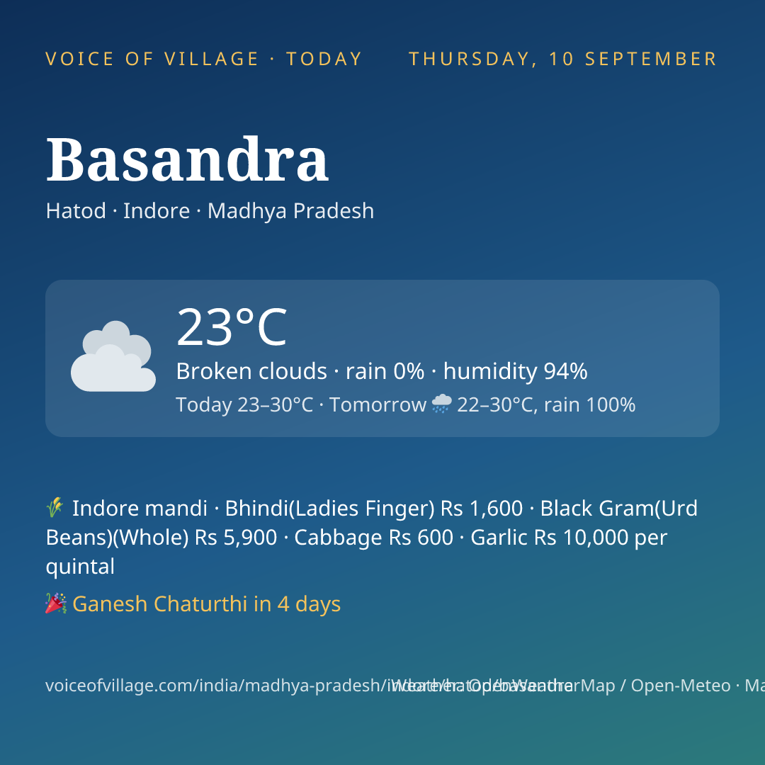 Basandra today