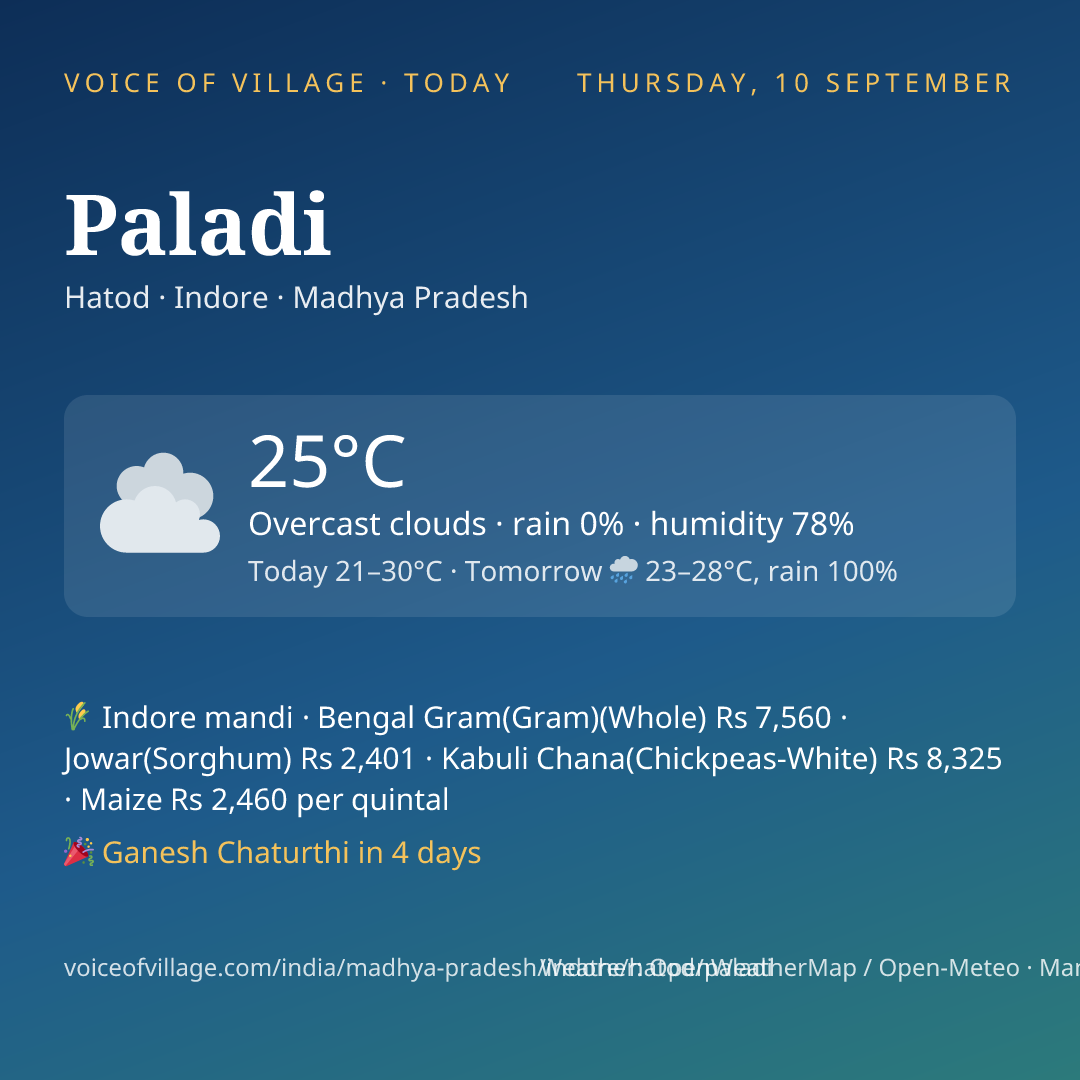 Paladi today