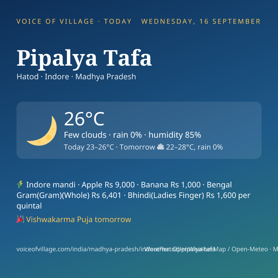 Pipalya Tafa today