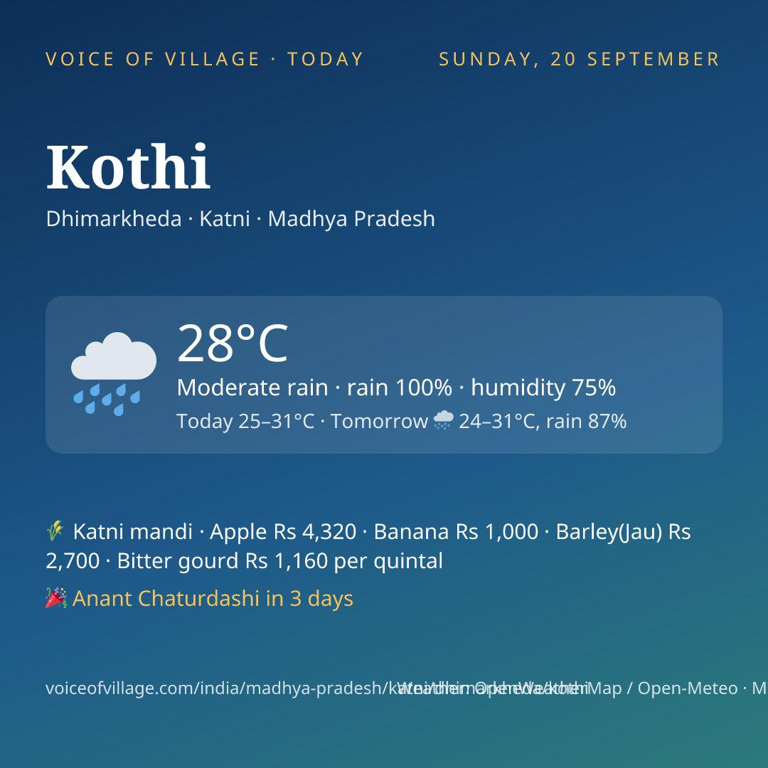 Kothi today