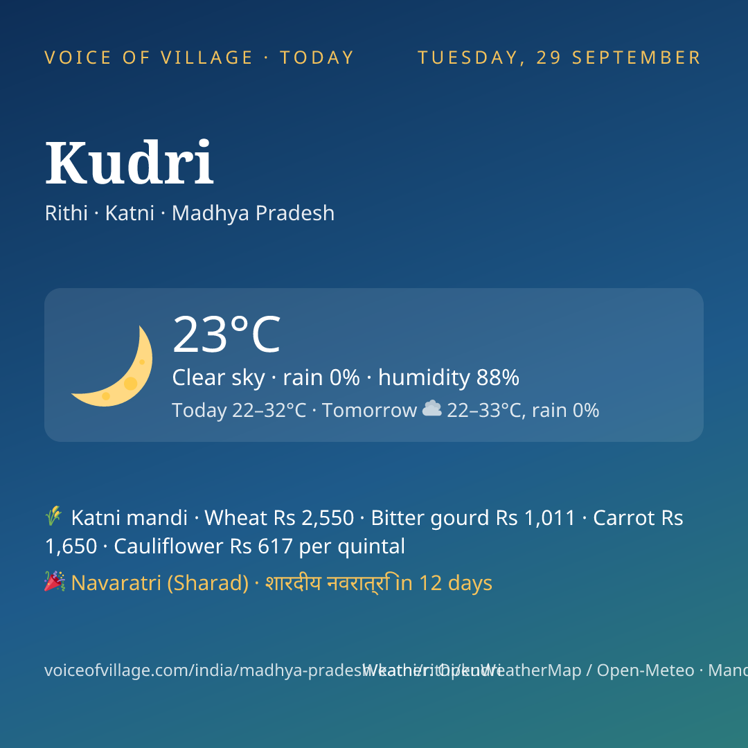 Kudri today