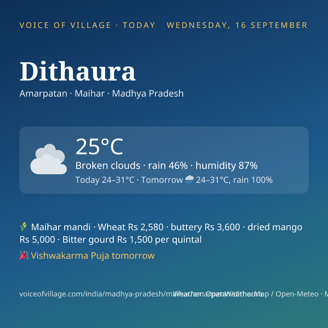 Dithaura today