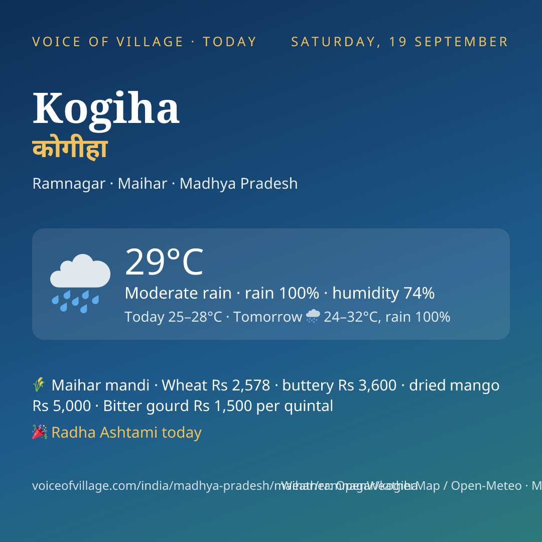 Kogiha today
