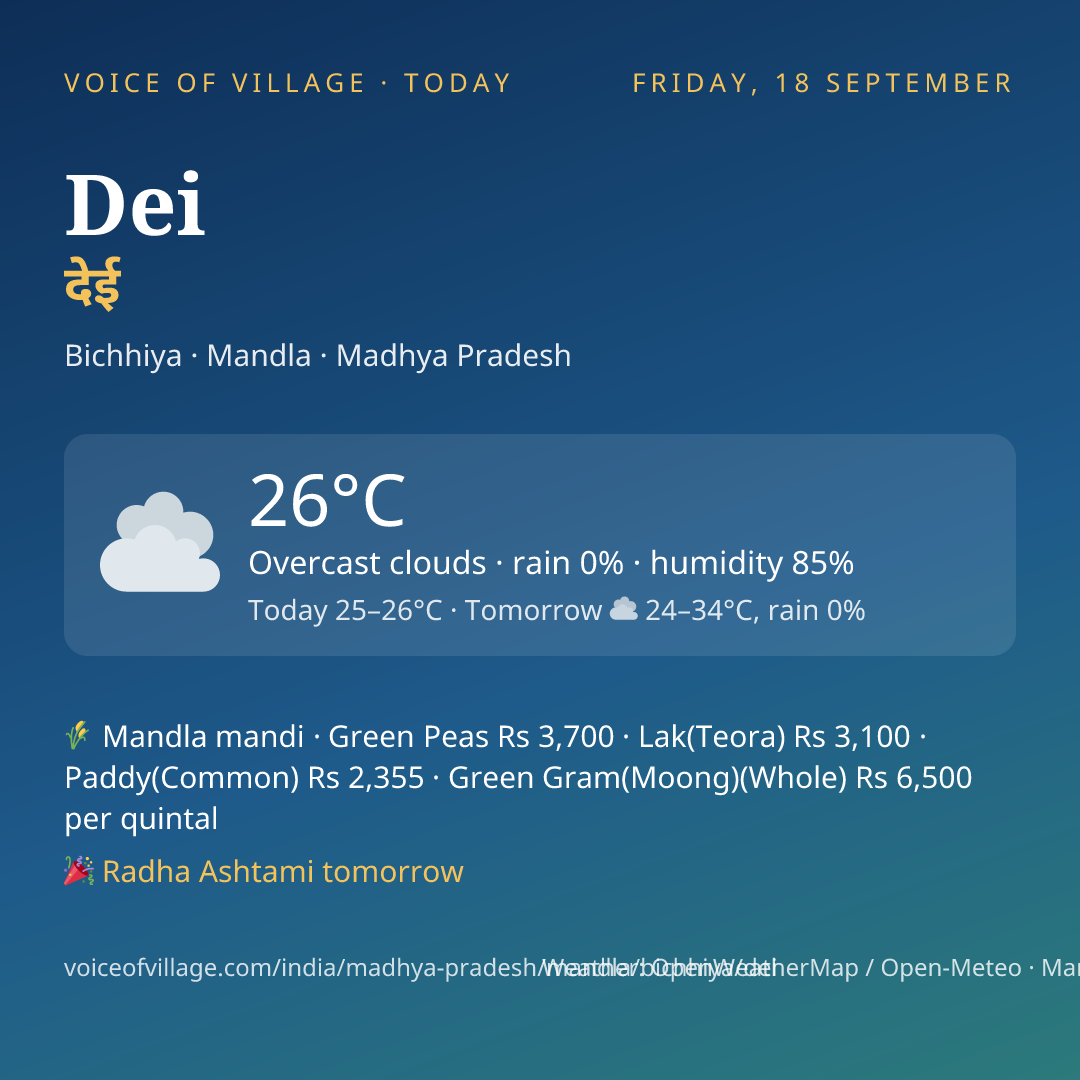 Dei today