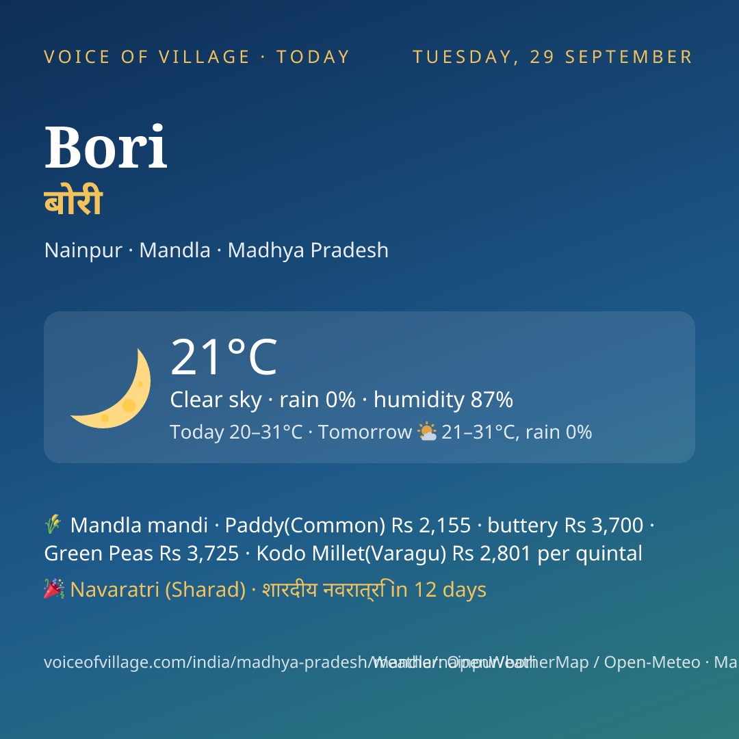 Bori today