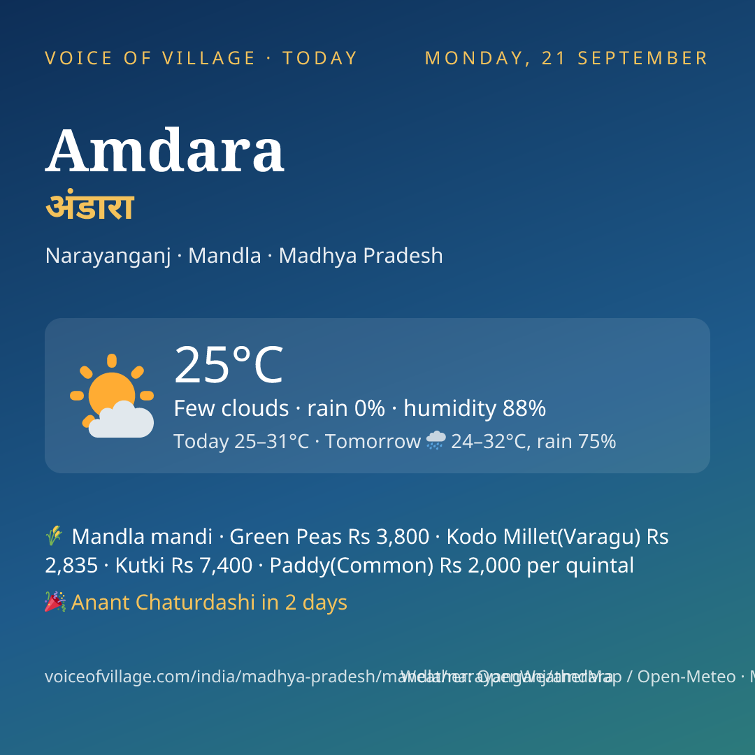 Amdara today