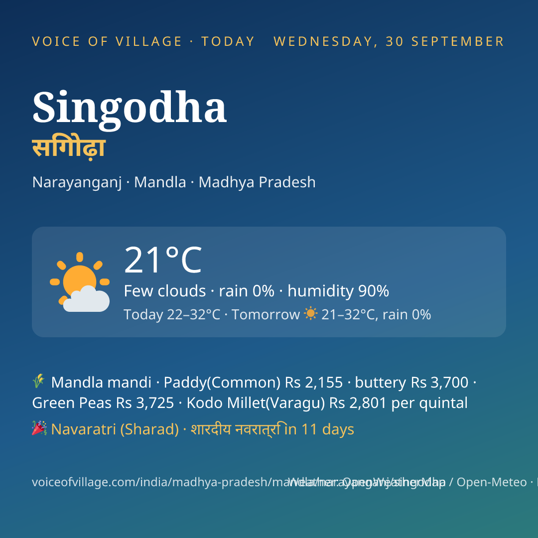 Singodha today