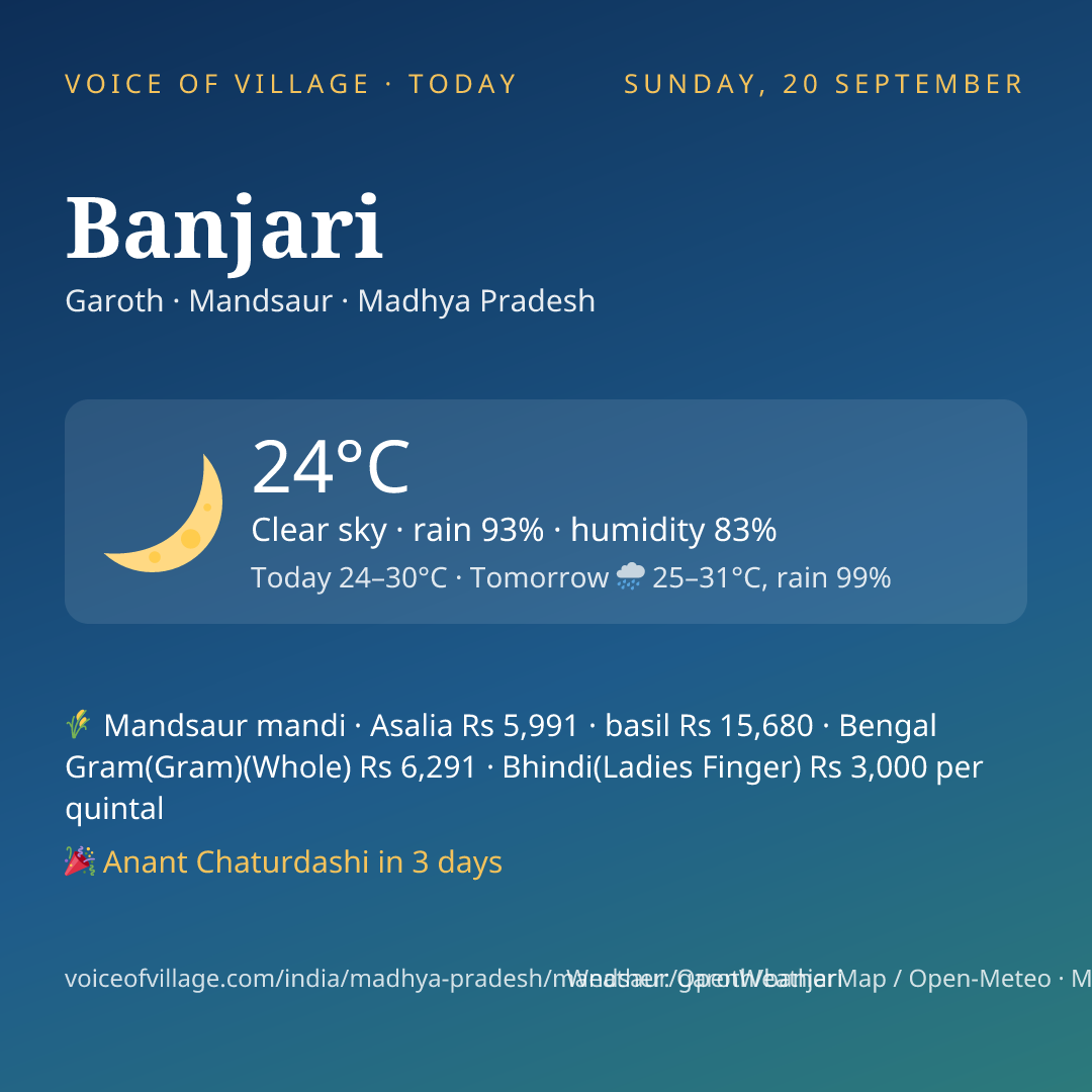 Banjari today