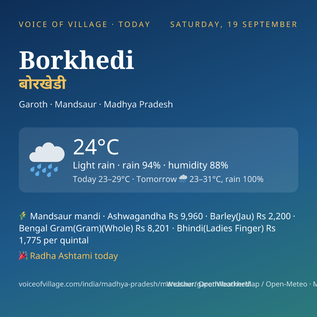 Borkhedi today