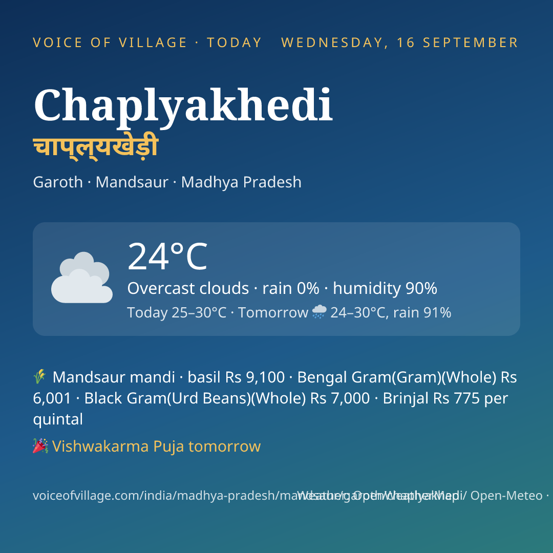 Chaplyakhedi today