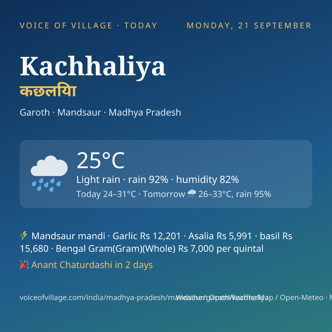 Kachhaliya today