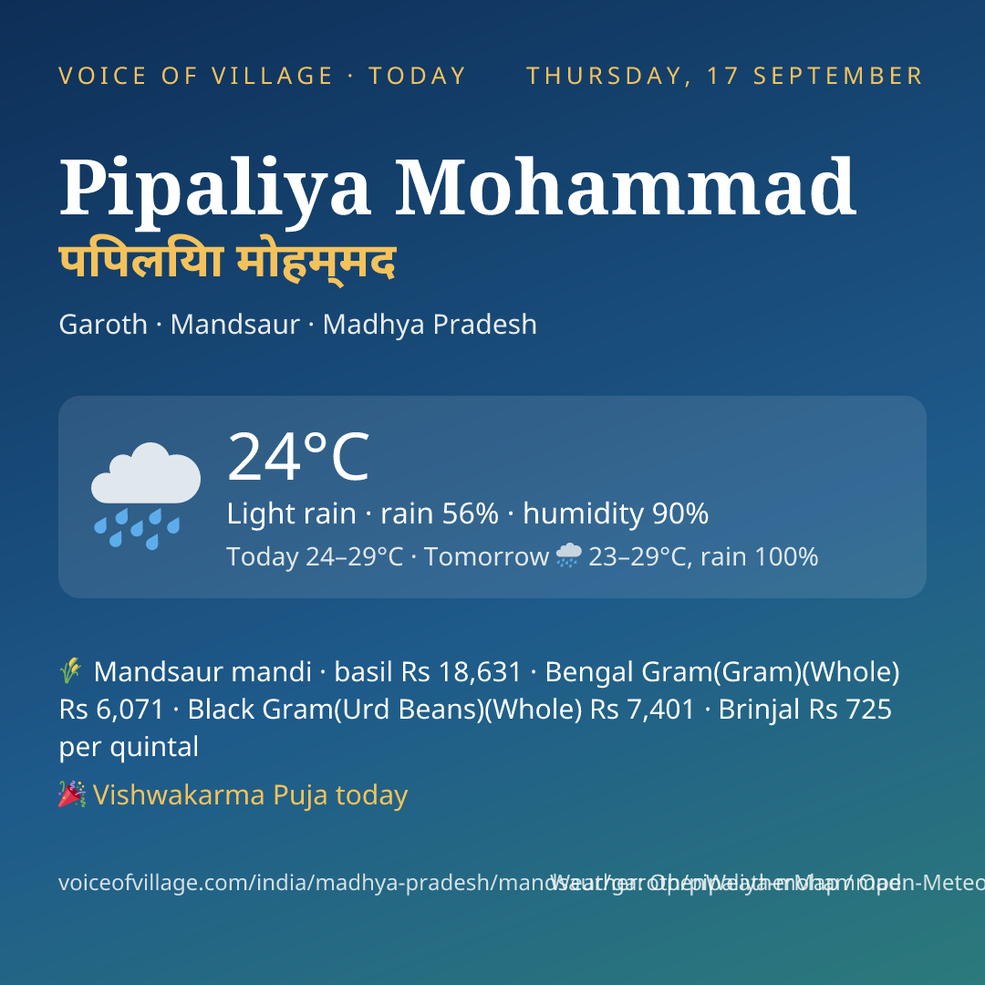 Pipaliya Mohammad today