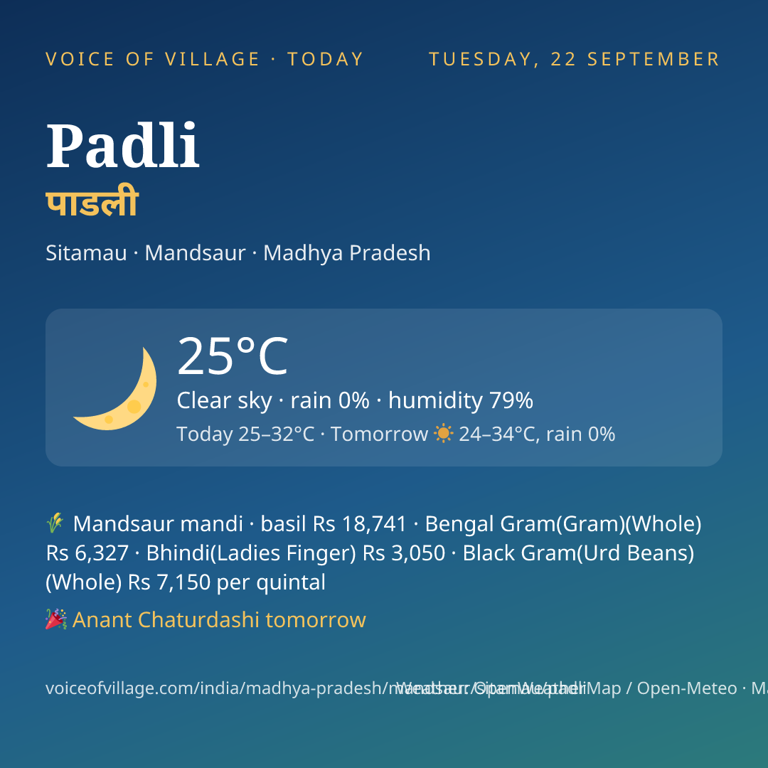 Padli today