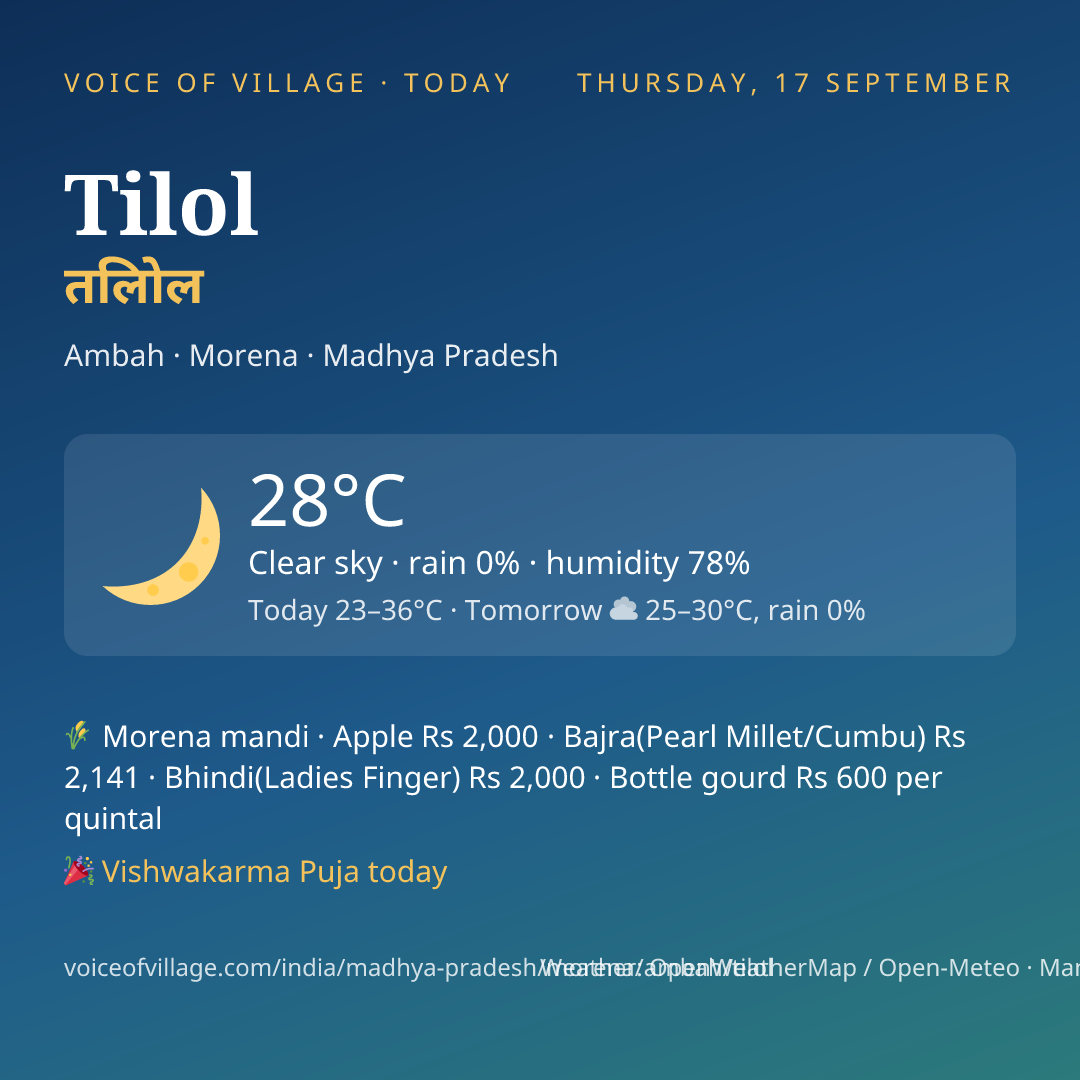 Tilol today