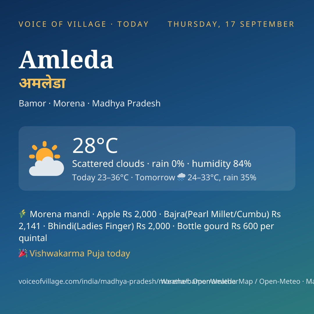Amleda today