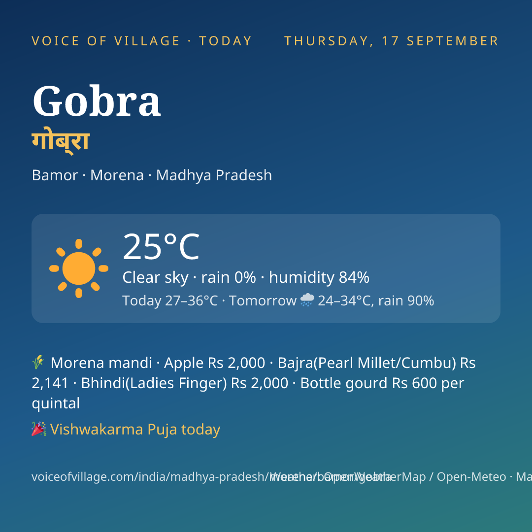 Gobra today