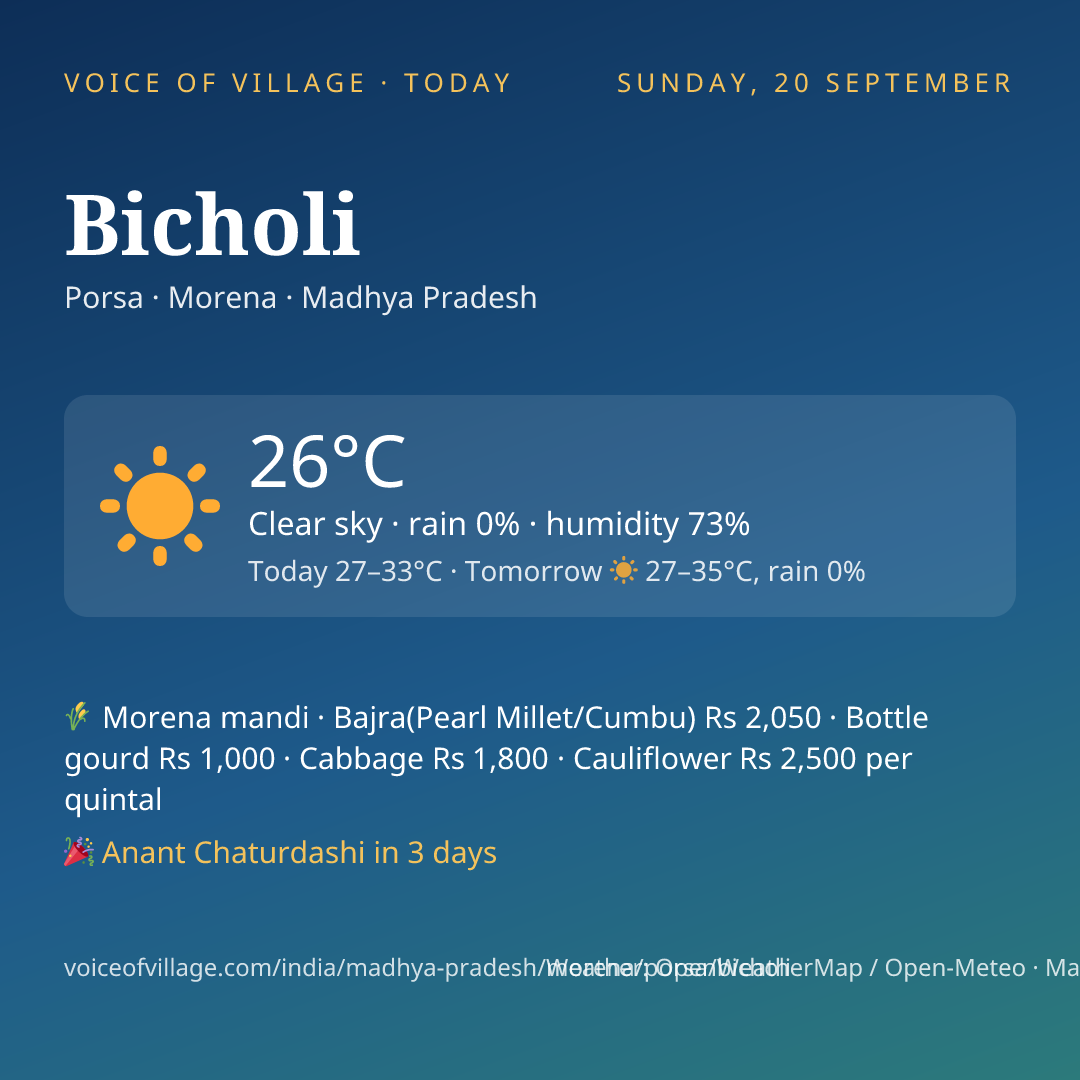 Bicholi today