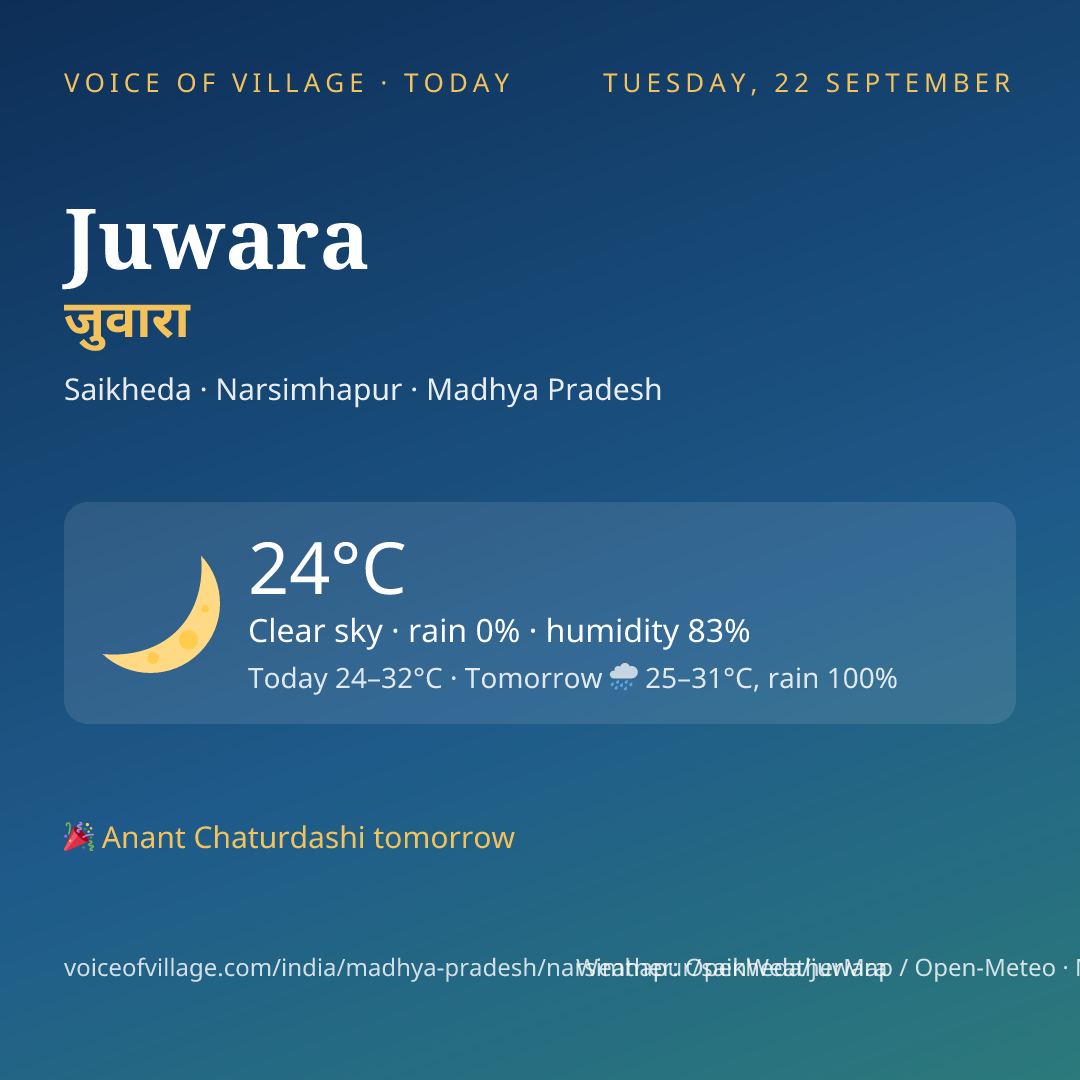 Juwara today