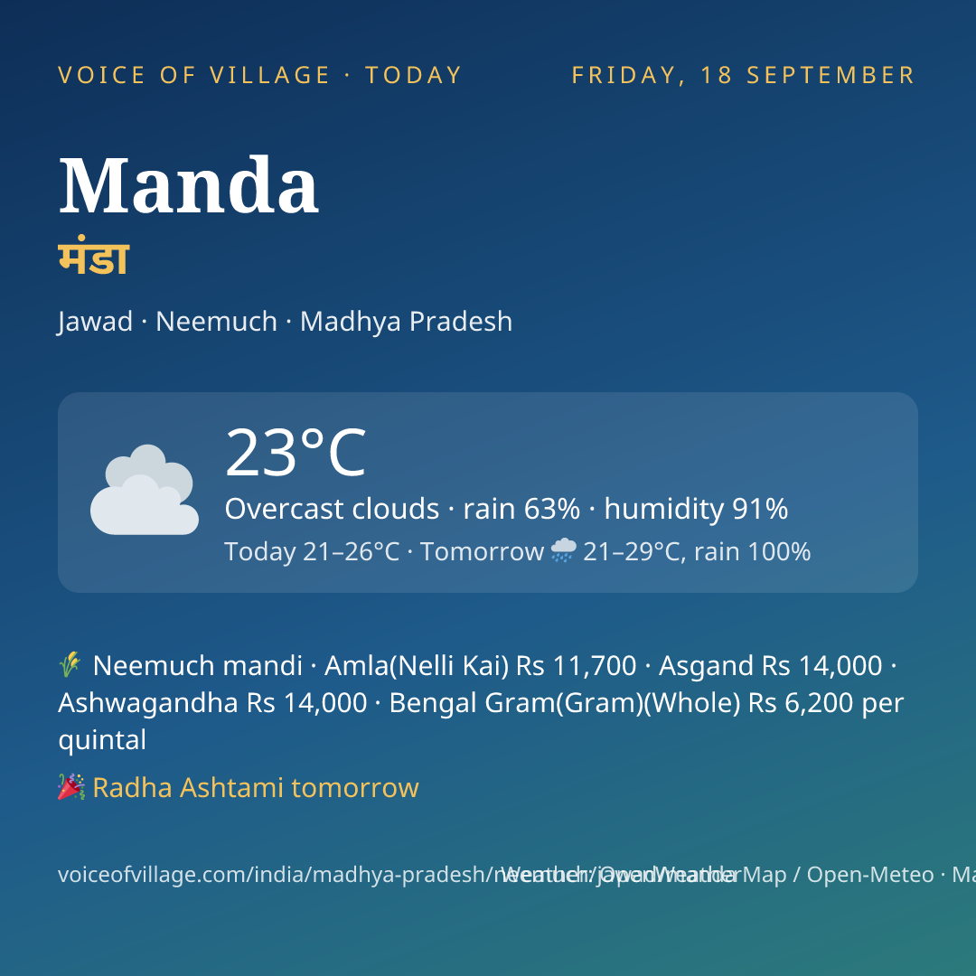 Manda today