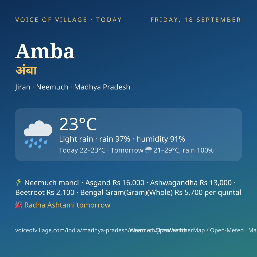 Amba today