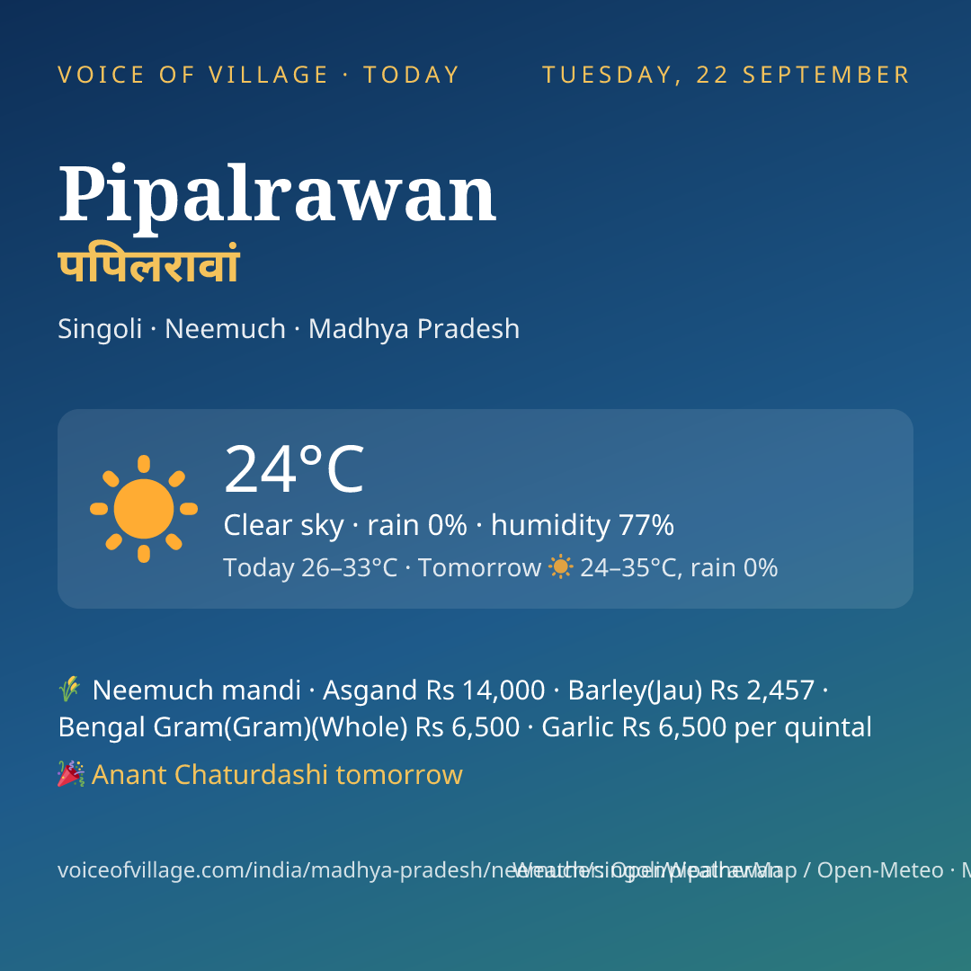 Pipalrawan today