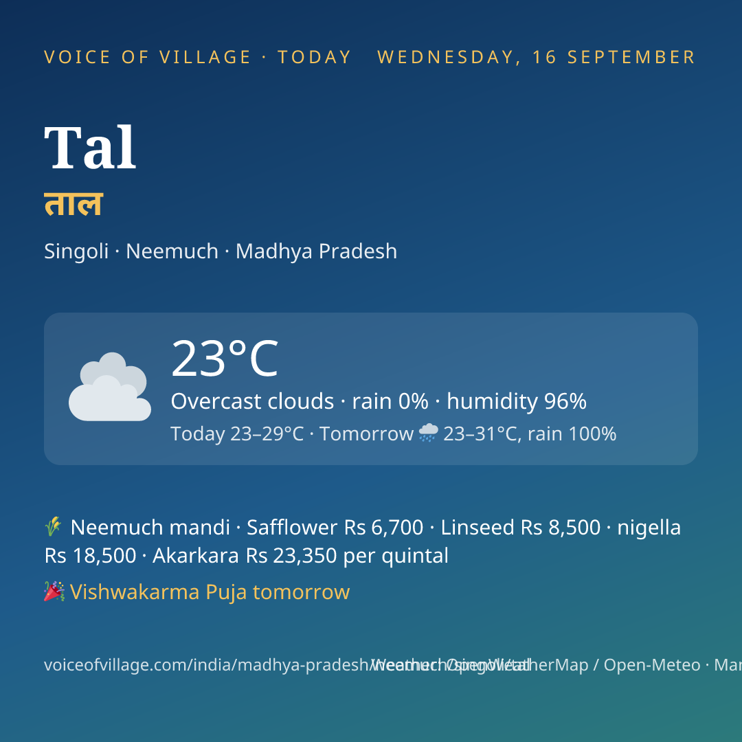 Tal today