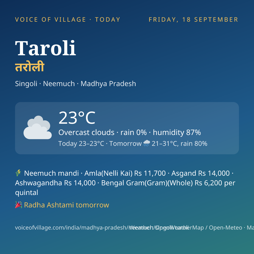 Taroli today