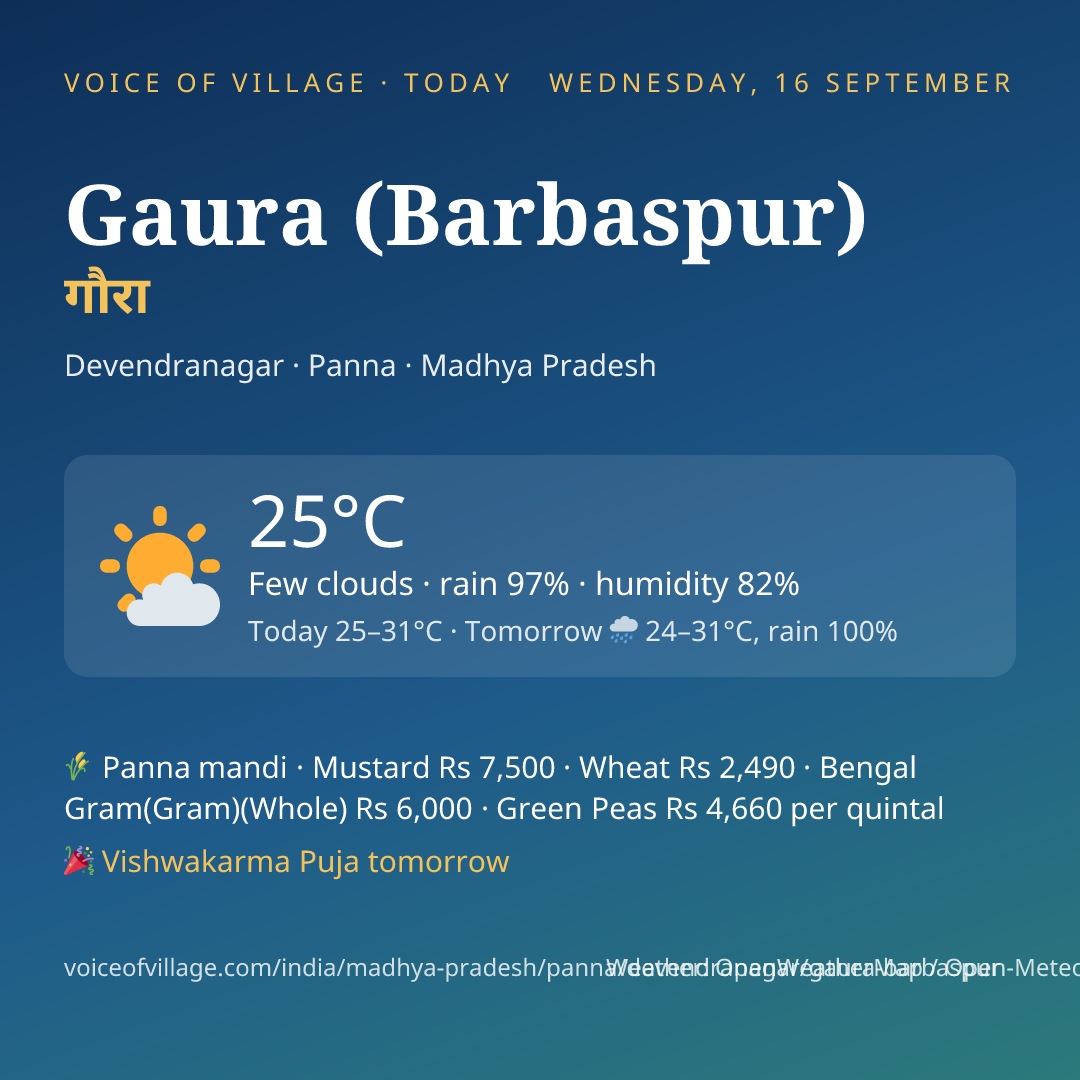 Gaura (Barbaspur) today