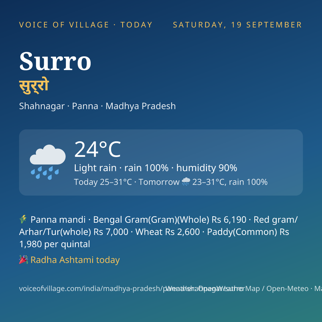 Surro today