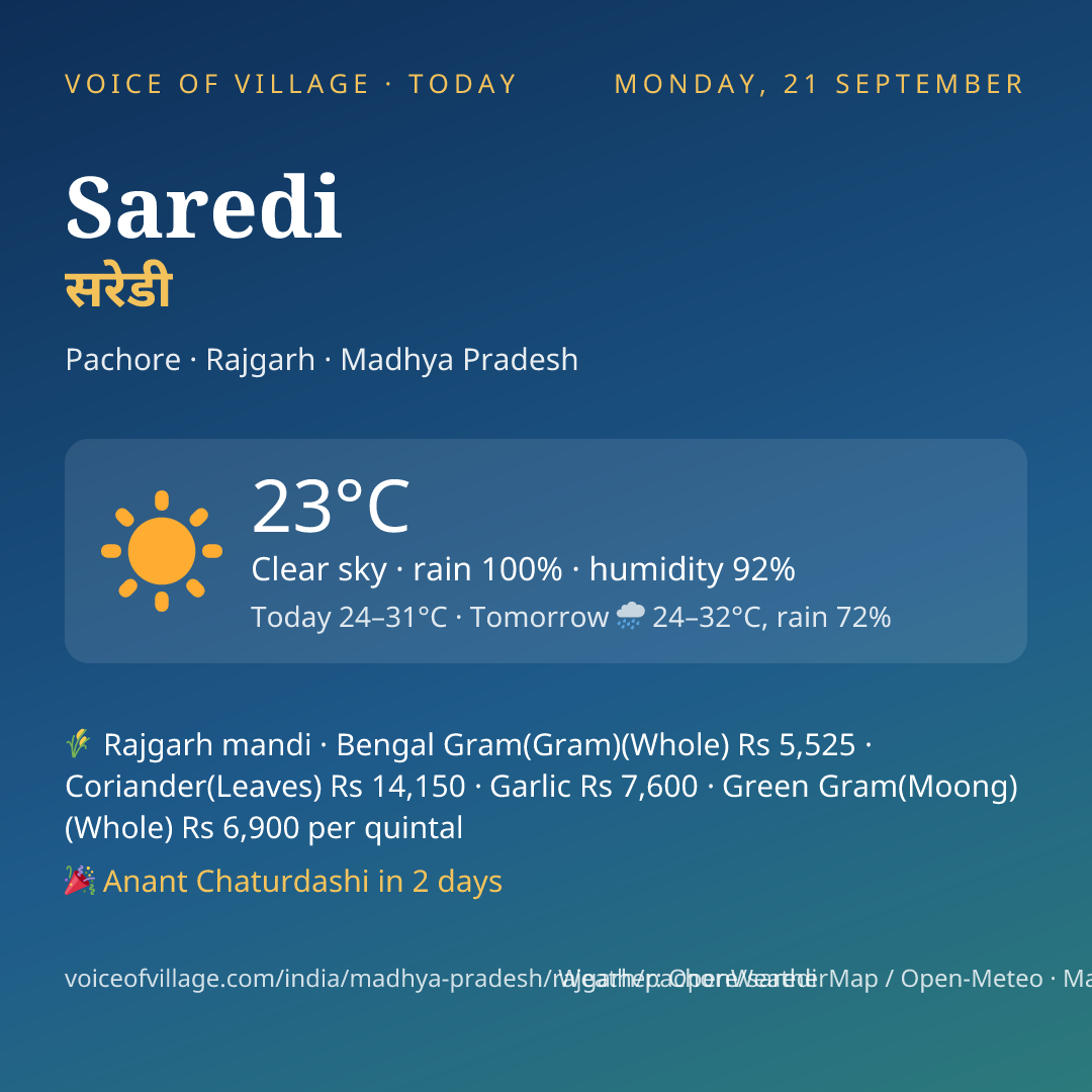 Saredi today