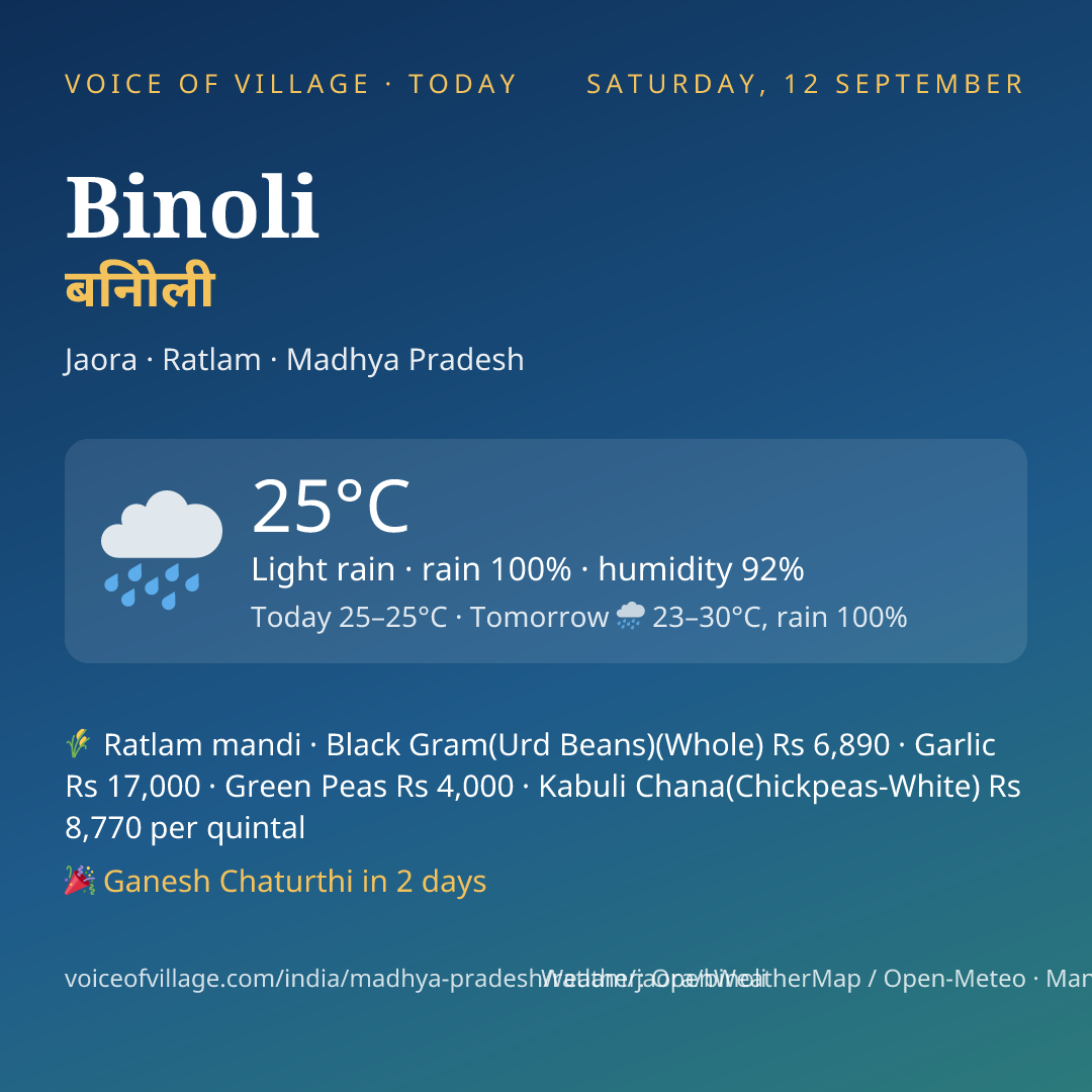 Binoli today