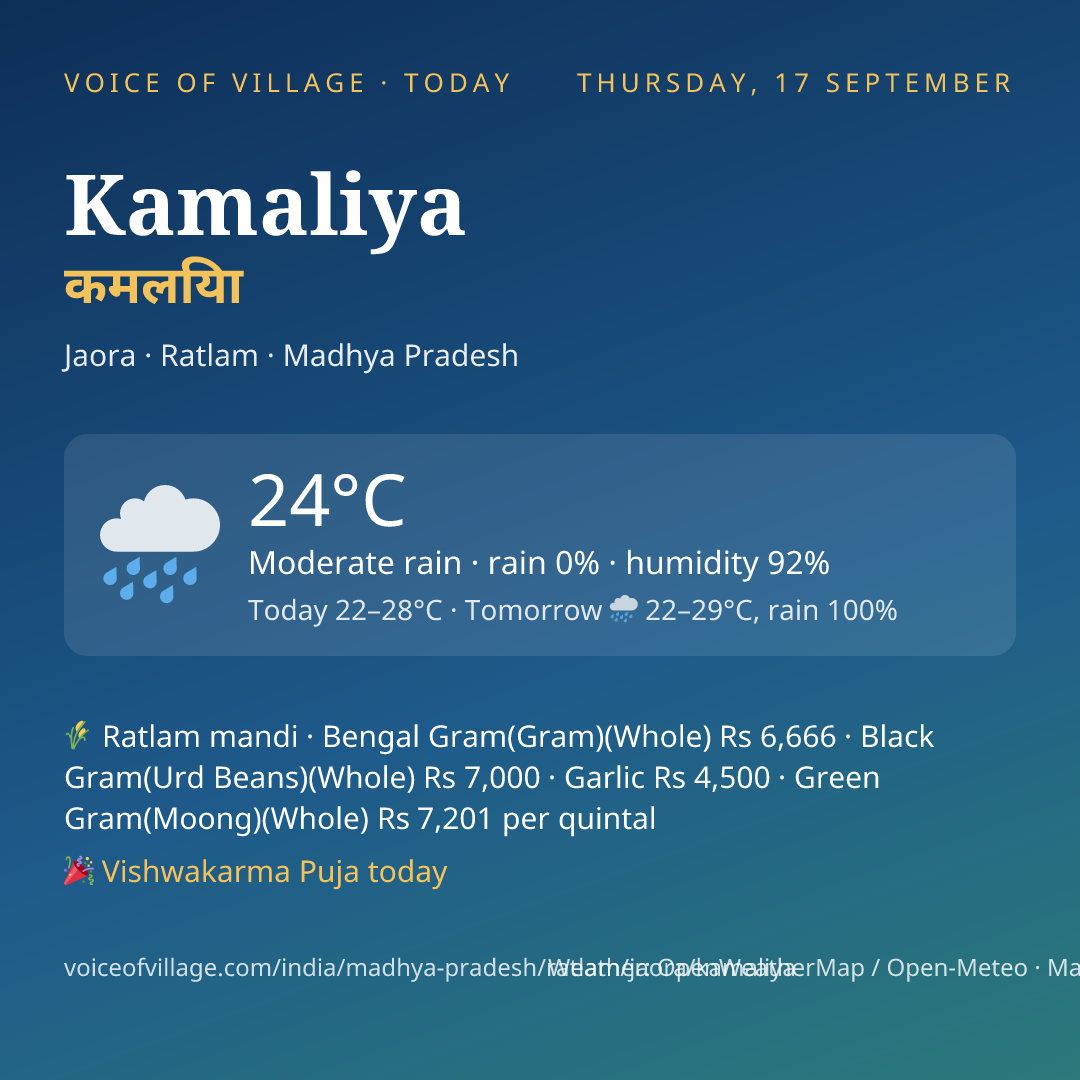 Kamaliya today