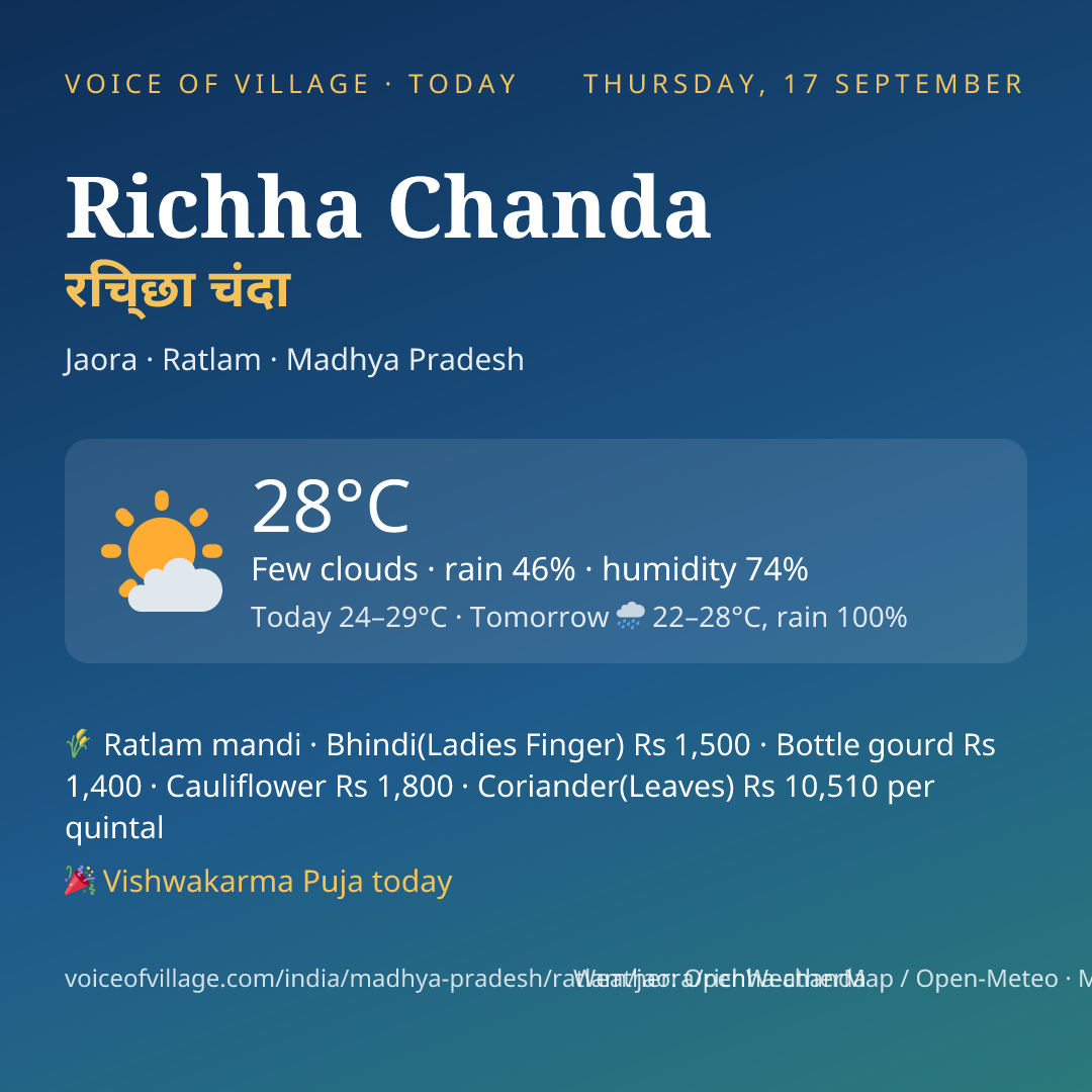 Richha Chanda today