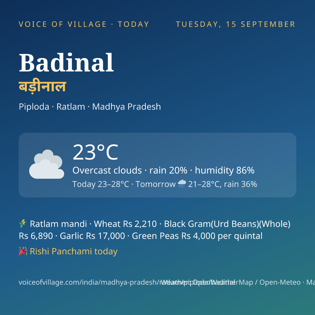Badinal today